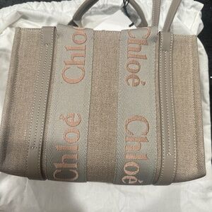 Chloe Woody Bag in size Small